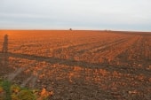 Coucher de Soleil à Mouroux